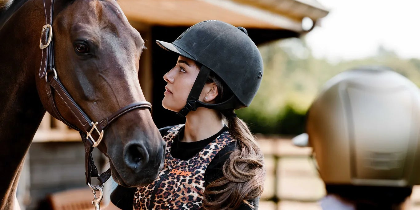 Paardensport