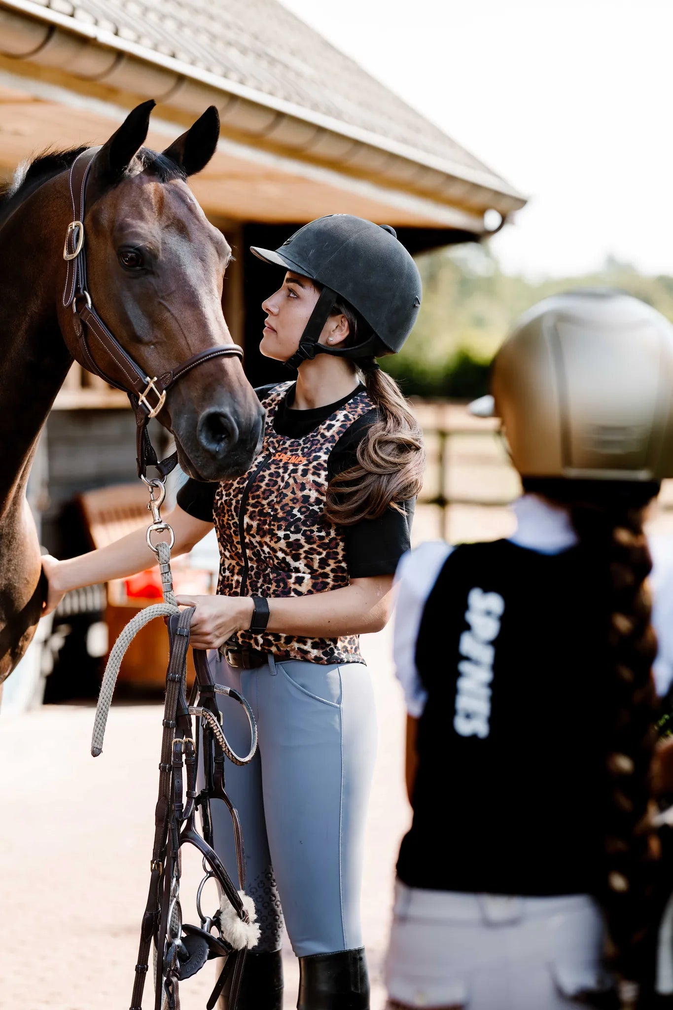 Paardensport